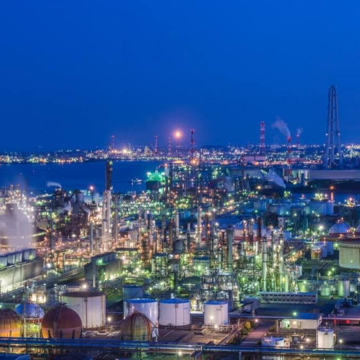 🐳 카스미 꿈고래 공원(카스미 유메쿠지라 코엔) 이미지 6